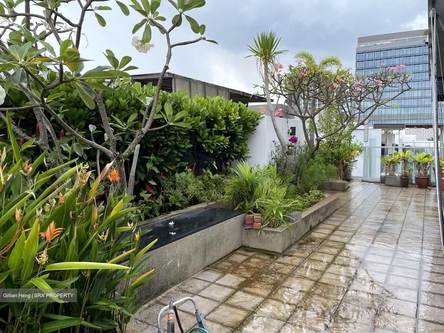 Malvern Springs (D15), Condominium #597805491